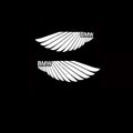BMW Projector Logo